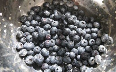 Blueberries for Sally