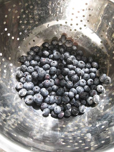Blueberries for Sally