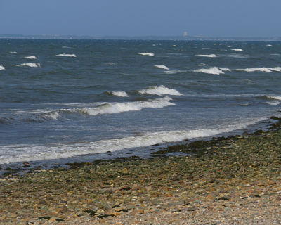 Sally beach