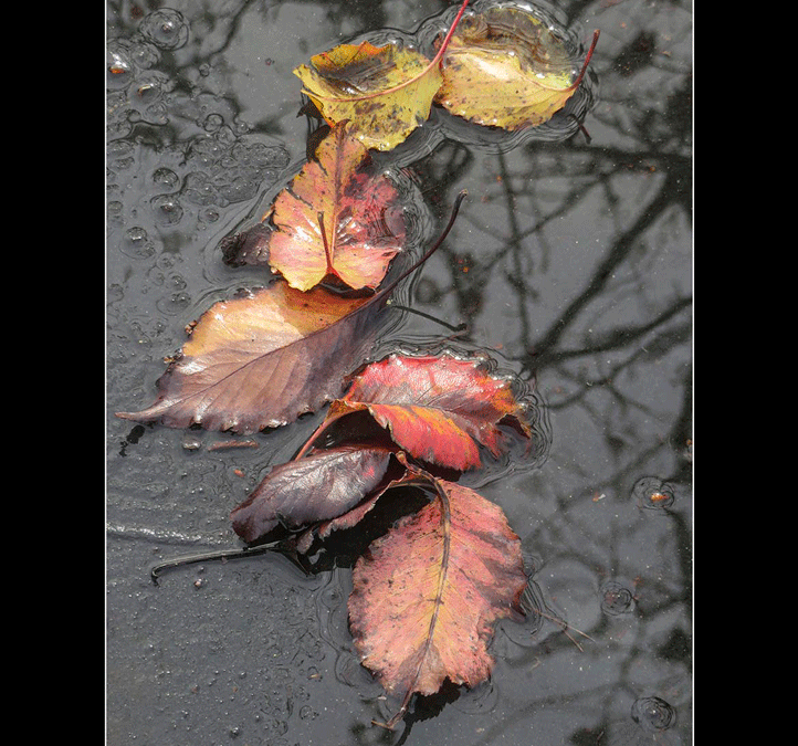 The Story of a Photo