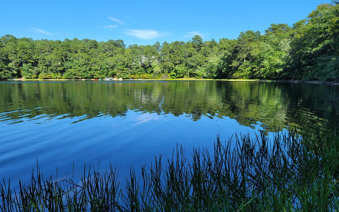 Pond